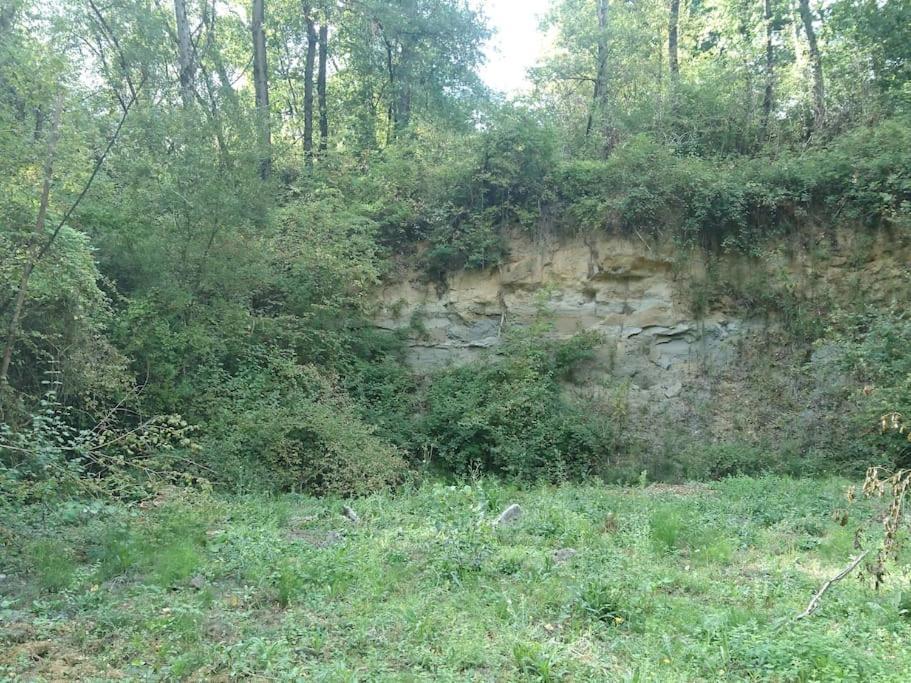 Location Meublee Au Milieu D'Un Ecrin De Verdure Aux Vieux Fours Noaillac Bagian luar foto