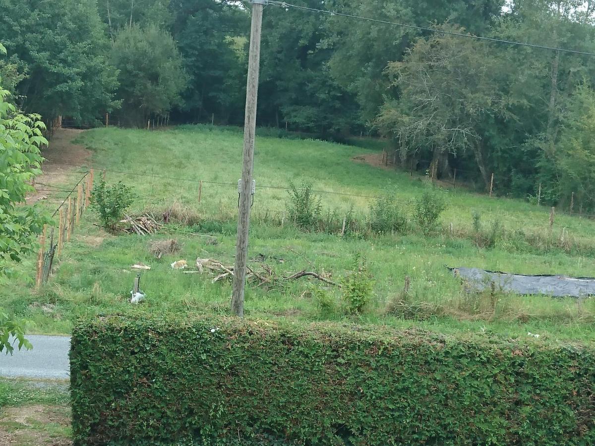 Location Meublee Au Milieu D'Un Ecrin De Verdure Aux Vieux Fours Noaillac Bagian luar foto